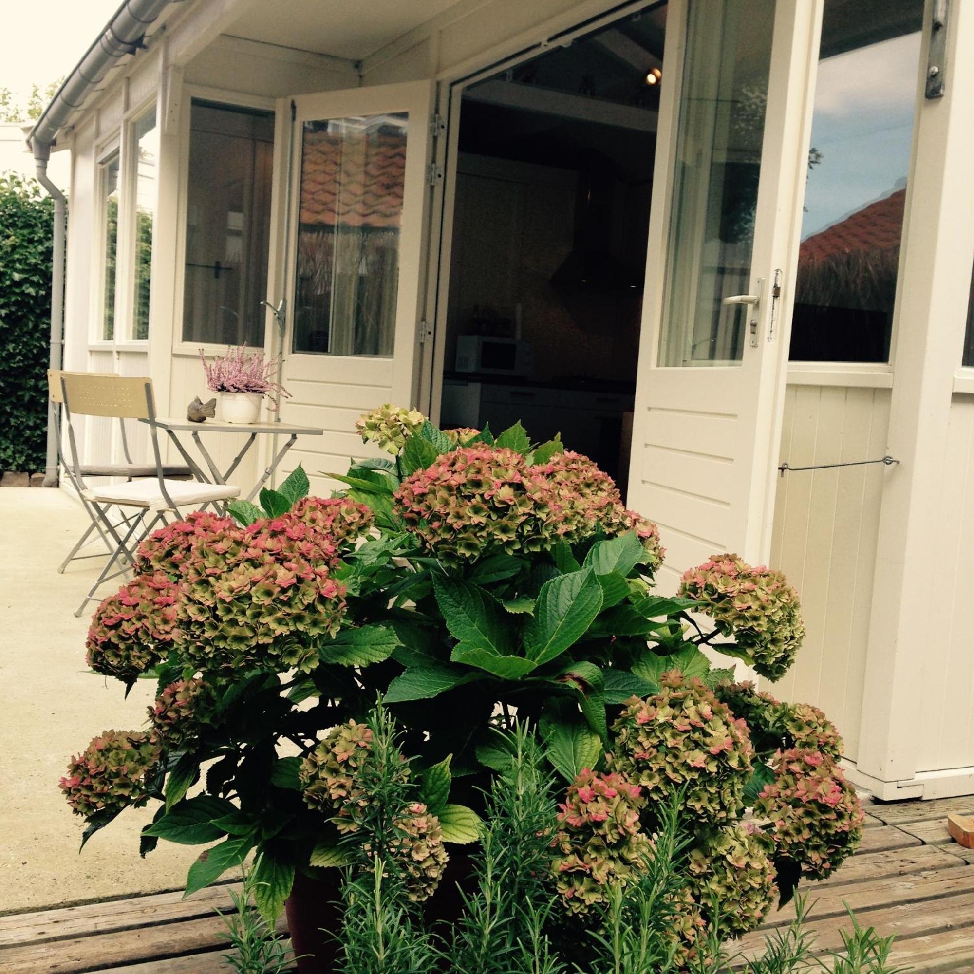 Villa Tiny House Madame Jeanette Zandvoort Exterior foto